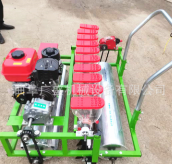 落种均匀种菜机 小型蔬菜点播机 大葱汽油播种机图3