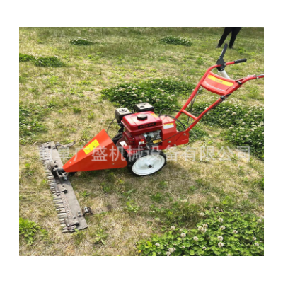 汽油小型手推剪草机 农用碎草机 自动割草机