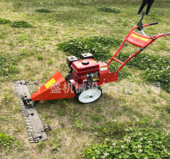 汽油小型手推剪草机 农用碎草机 自动割草机图3