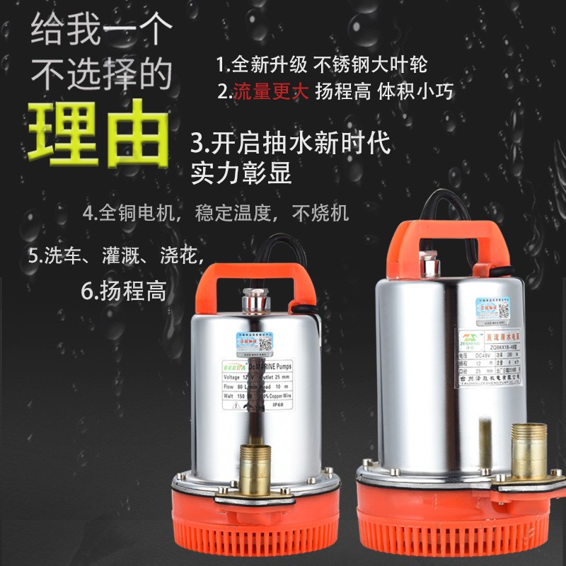厂家直销小黄蜂直流潜水泵 大流量电瓶车抽水泵 船用电瓶泵批发图3