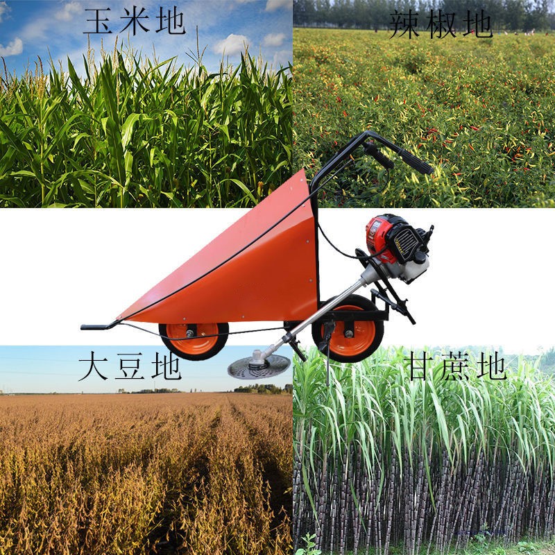 小型玉米收割机手推式大豆秸秆割晒机农用割台多功能辣椒割倒机图4