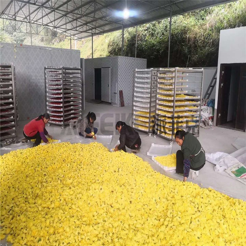 辣椒空气能烘干机 金丝黄菊热泵烘干房 中药材热风循环烘箱图5