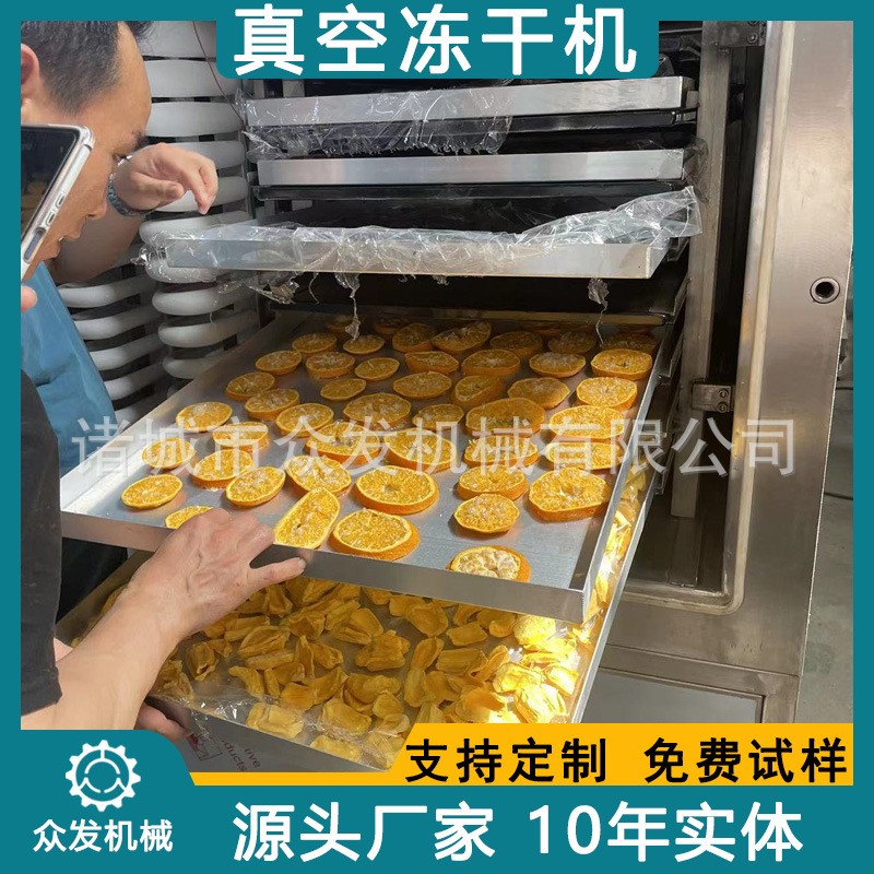 ZF-10平方真空冻干机 咖啡粉冻干设备 猕猴桃水果冷冻真空干燥机图4