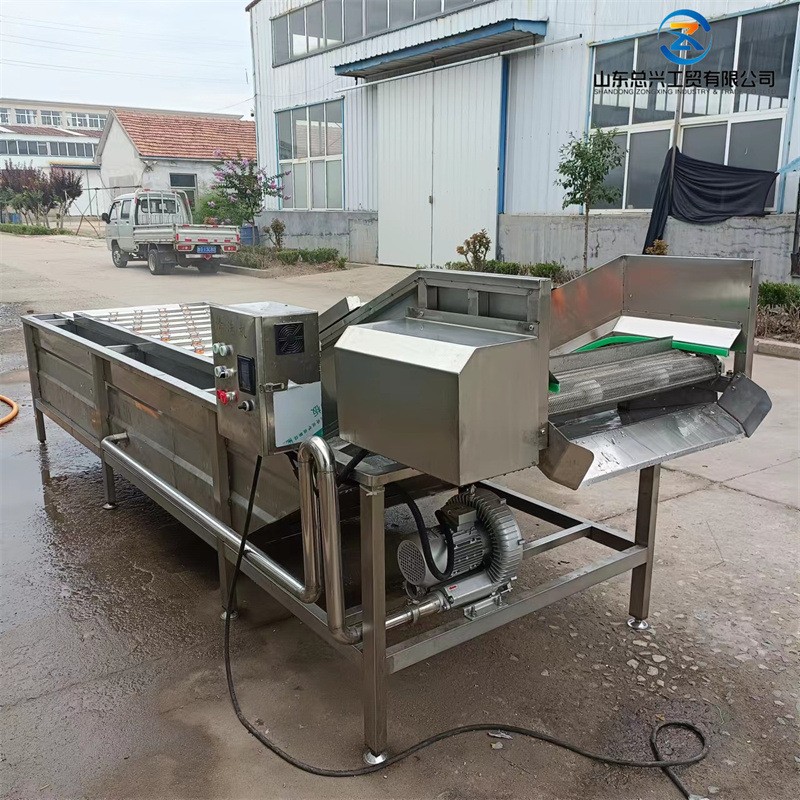 总兴裙带菜不锈钢清洗机 果蔬气泡清洗设备 海带扣高压喷淋清洗机图4