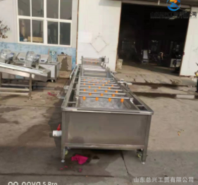不锈钢竹笋气泡清洗机 全自动腌渍裙带梗清洗脱盐机 气泡果蔬清洗图3