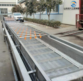 不锈钢竹笋气泡清洗机 全自动腌渍裙带梗清洗脱盐机 气泡果蔬清洗图5