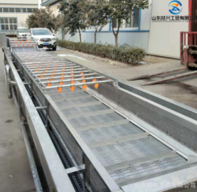 不锈钢竹笋气泡清洗机 全自动腌渍裙带梗清洗脱盐机 气泡果蔬清洗图4