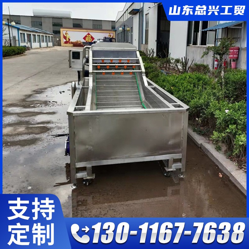 气泡式果蔬清洗机 生菜不锈钢喷淋式清洗机 净菜加工清洗设备厂家