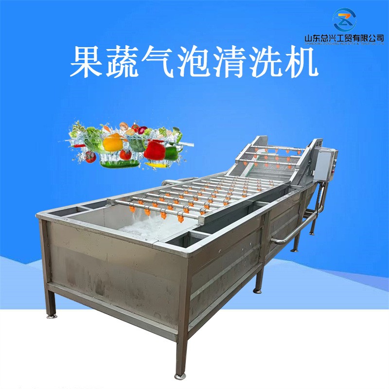 气泡式果蔬清洗机 生菜不锈钢喷淋式清洗机 净菜加工清洗设备厂家图5