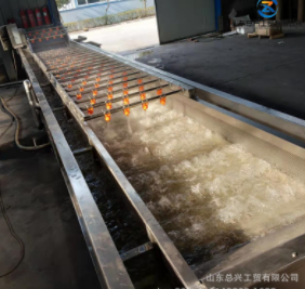 气泡式果蔬清洗机 生菜不锈钢喷淋式清洗机 净菜加工清洗设备厂家图3
