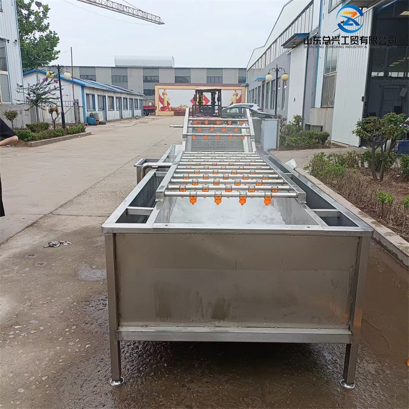 水果全自动气泡果蔬冲浪机 鸡爪整鸡清洗设备不锈钢涡流清洗机图4
