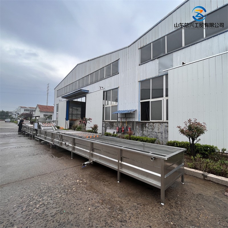 水果全自动气泡果蔬冲浪机 鸡爪整鸡清洗设备不锈钢涡流清洗机图2