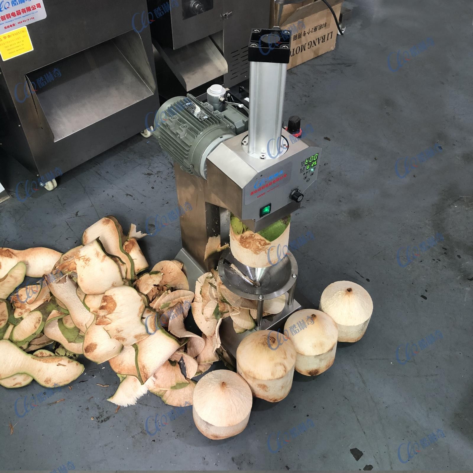 旋转式锥削椰子削皮机 海南文昌青椰椰子刮皮机 大产量椰子剥皮机图3