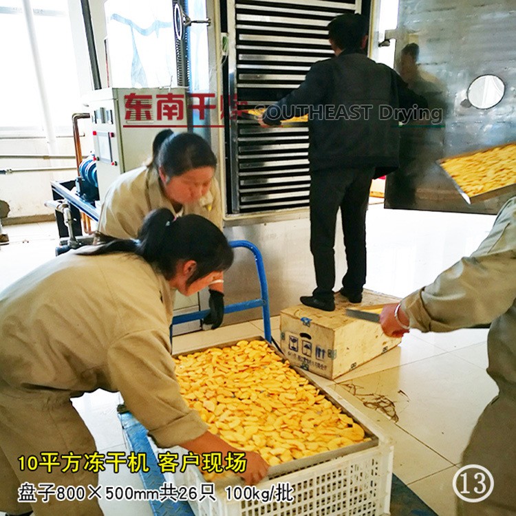 乳酸菌冻干机 生物酶冻冷干燥设备 菌类真空冷冻干燥机 厂家供应图4