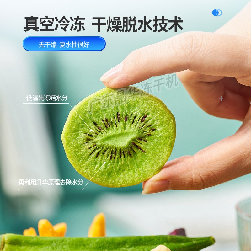 领创晶华冻干机加工大型真空冷冻干燥机设备中药水果蔬菜宠物商用图4