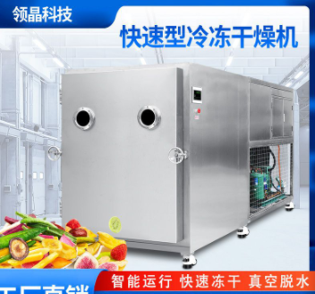 领创晶华真空冻干机设备菠萝蜜滋补品药材药材疫苗宠物大型机商用图2