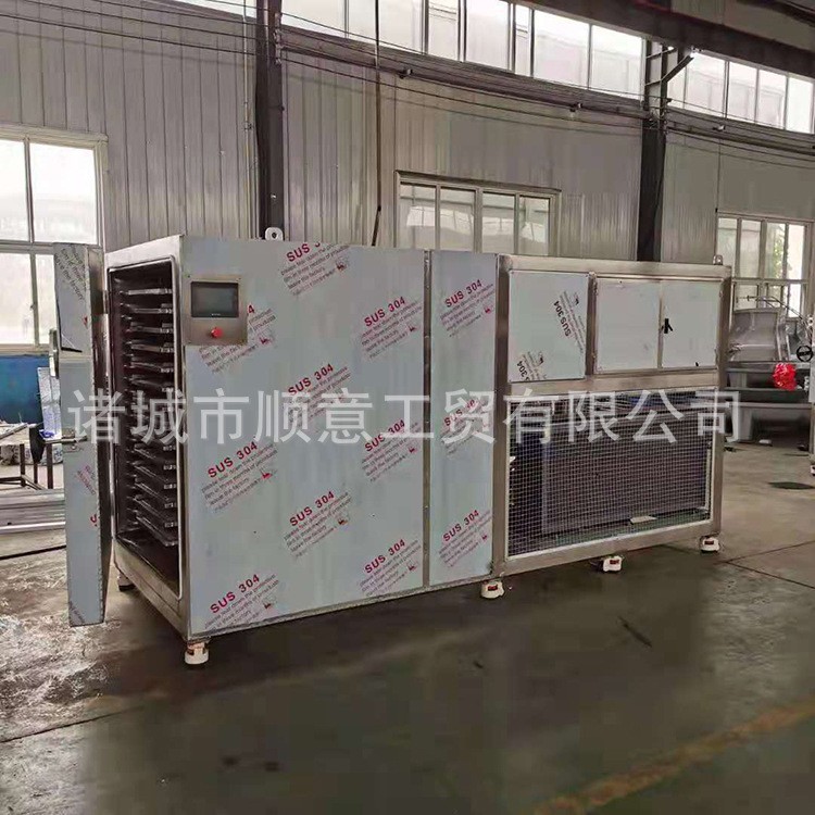 排骨真空冷冻干燥机 猪排羊排风干肉冻干设备 羊背子冻干机图3
