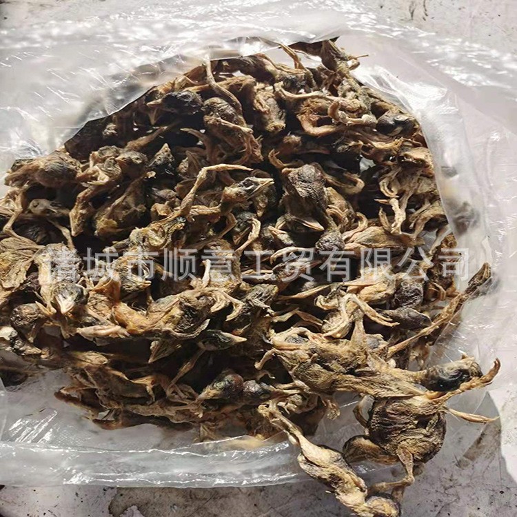 真空冻干机商用 宠物食品真空冷冻干燥机 果蔬药材大型冻干设备图5