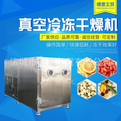 真空冻干机商用 宠物食品真空冷冻干燥机 果蔬药材大型冻干设备