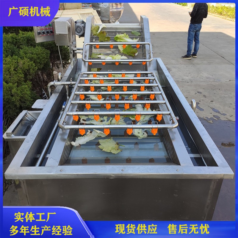 全自动气泡清洗机 水果果蔬清洗设备 净菜叶菜类辣椒蔬菜清洗机图3