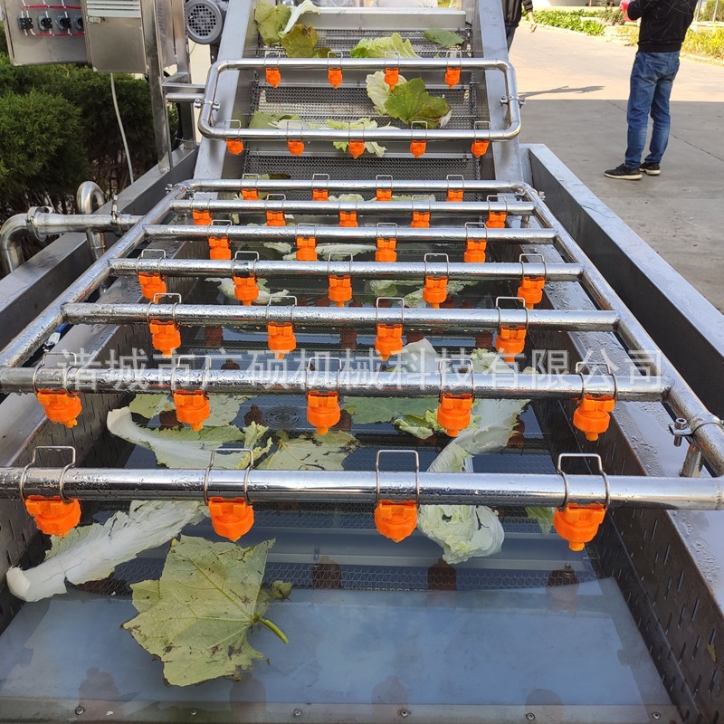 全自动气泡清洗机 水果果蔬清洗设备 净菜叶菜类辣椒蔬菜清洗机图4