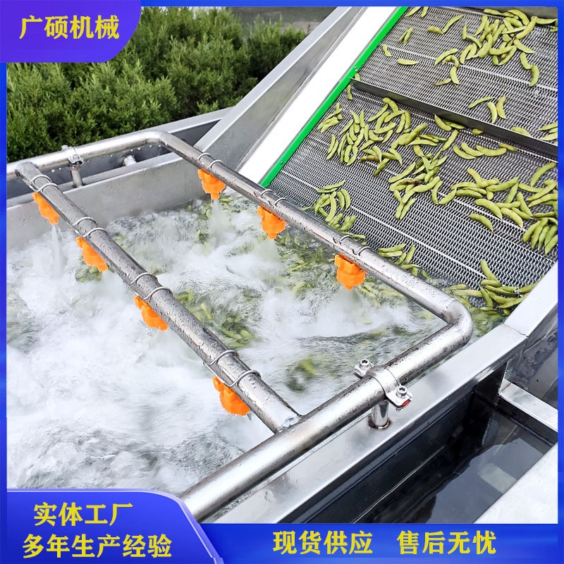 全自动毛豆清洗机 网带气泡式毛豆加工设备 蔬菜工厂毛豆生产线图3