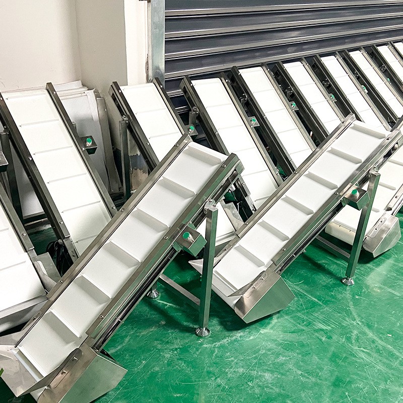 安徽合肥食品提升机 小型食品级爬坡机 简易型皮带线输送设备定制图2