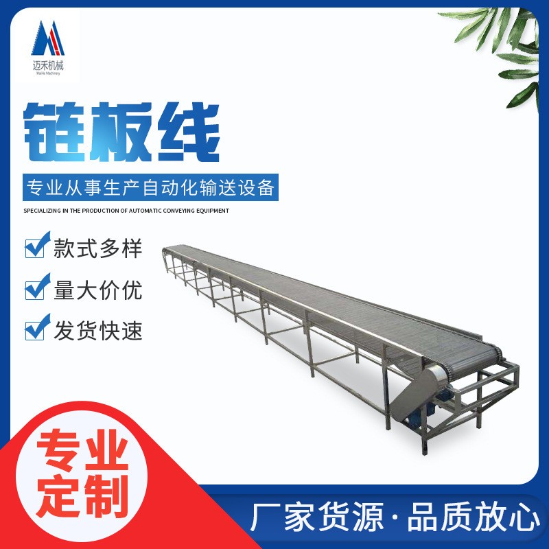 安徽合肥厂家定制小型链板线输送机 网带流水线 物流运输线体定制