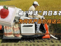 被“神话”的日本农业，为何农产品价格这么高？真的绿色无公害吗