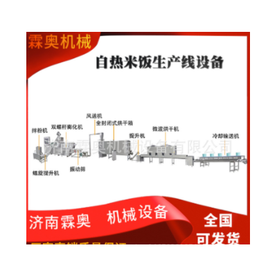 霖奥速食自热米饭生产机器 人造复合营养米加工设备 食品膨化机械