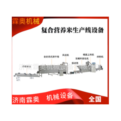 霖奥 RN70速食自热米饭加工机器 人造复合营养大米生产线