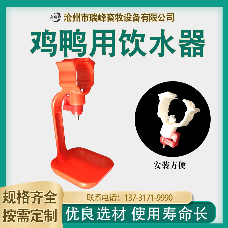 厂家育雏自动饮水碗鸡用饮水器雏鸡用自动饮水器畜牧养殖设备批发图2