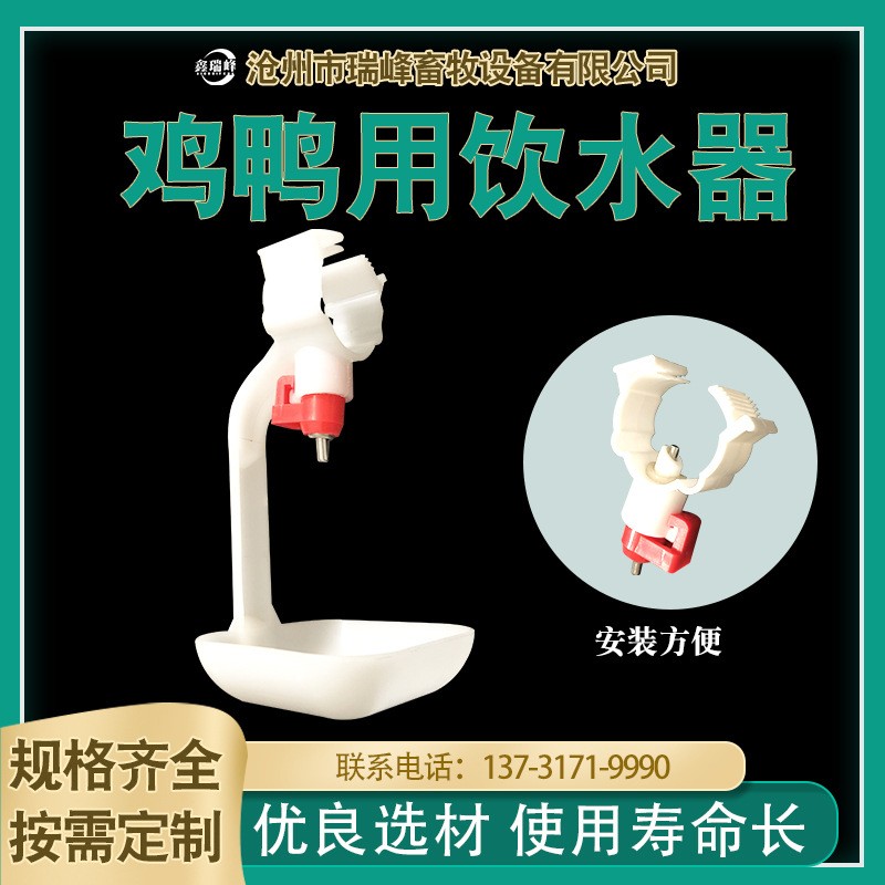 厂家育雏自动饮水碗鸡用饮水器雏鸡用自动饮水器畜牧养殖设备批发图3