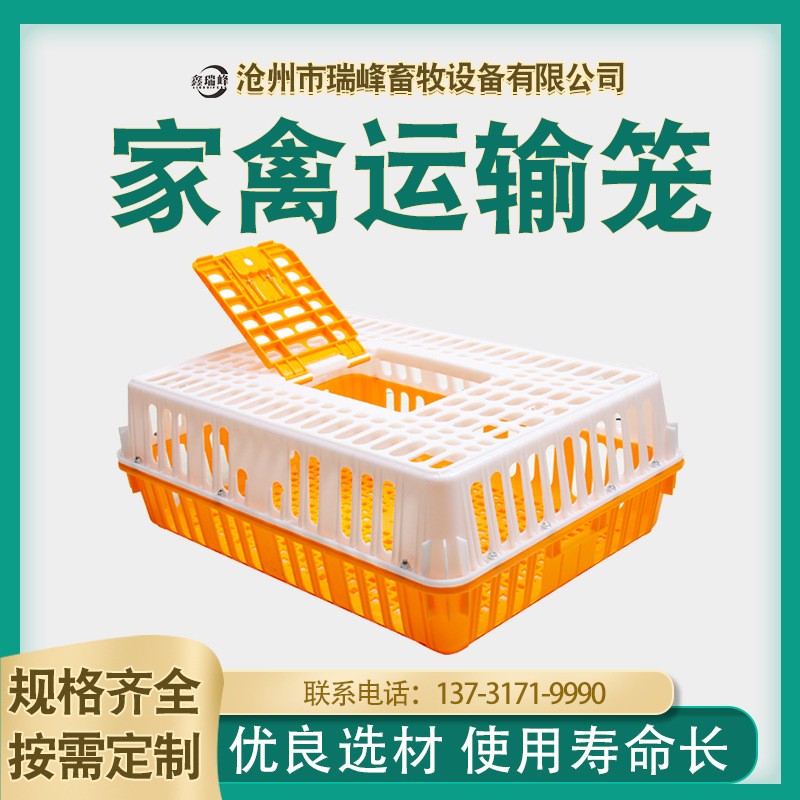 厂家鸡用周转箱元宝箱 方形加厚周转箱鸡笼 鸡鸭兔周转箱笼子清仓图2