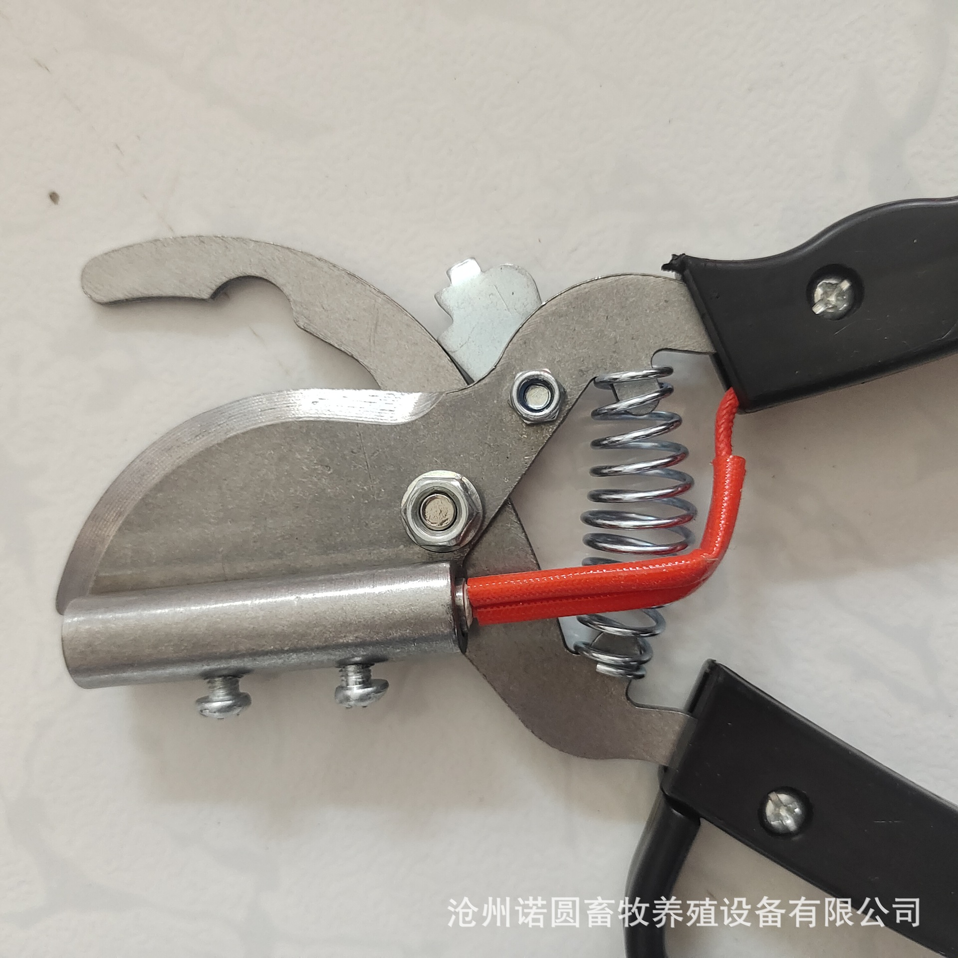 微信图片_202112071449456