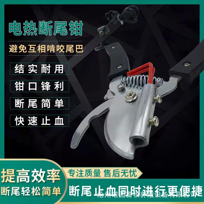 微信图片_202112071449451