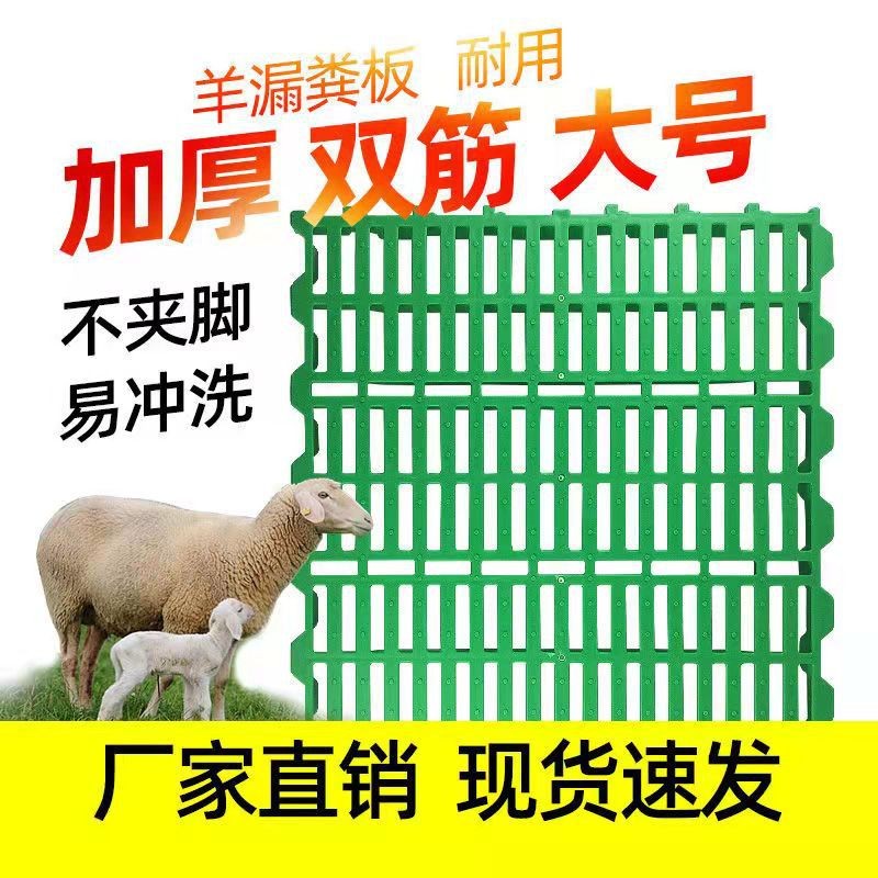 60*60羊用漏粪板厂家批发羊床板猪羊漏粪板羊舍粪板 塑料羊粪板