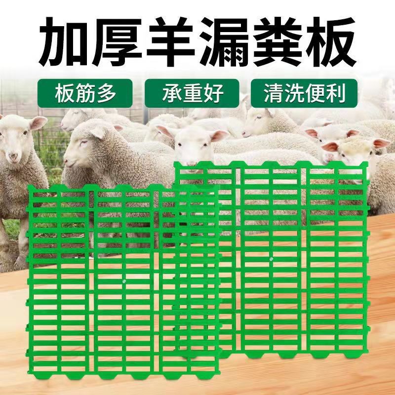 60*60羊用漏粪板厂家批发羊床板猪羊漏粪板羊舍粪板 塑料羊粪板图5
