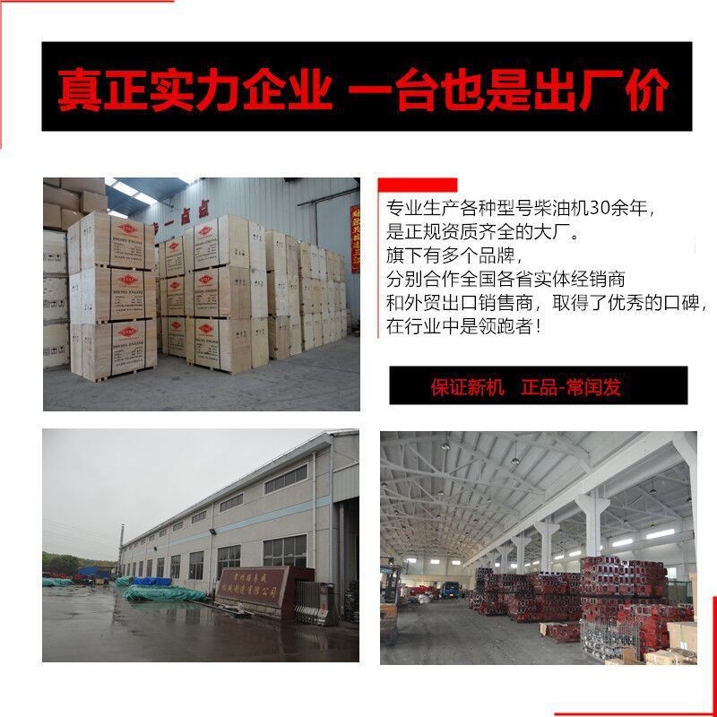 常州单缸柴油机20马力手扶拖拉机农用船用 ZS1110 小型水冷发动机图2