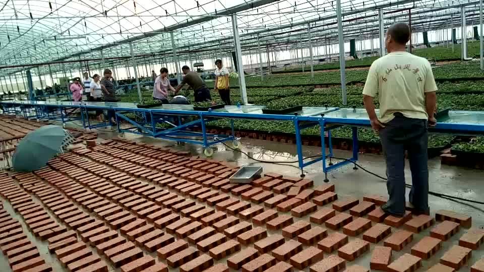 定制装车皮带输送机网链机传送带 小型皮带输送线厂家定制图4