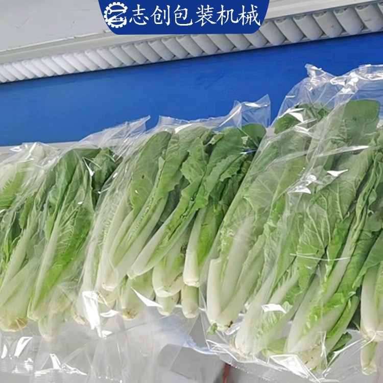 全自动蔬菜包装机 叶菜瓜果打包机打孔喷码日期 食品包装机械设备图3