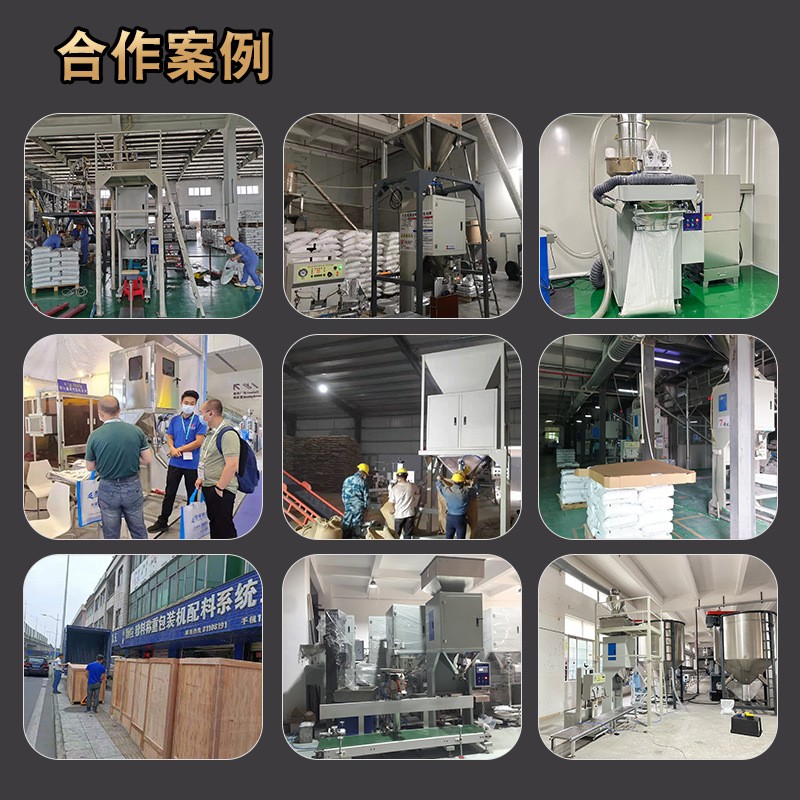 粉末包装机 大袋秤量螺杆式化工粉剂五谷粉料面粉定量称重包装机图4