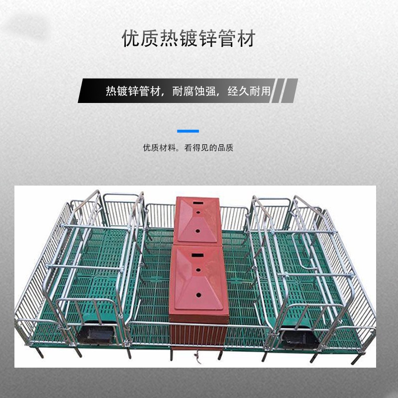 母猪产床牧洛丰2.5厚度热镀锌母猪产床双体母猪分娩产保一体床图4