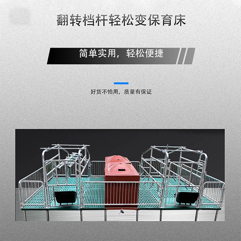 母猪产床牧洛丰2.5厚度热镀锌母猪产床双体母猪分娩产保一体床图2