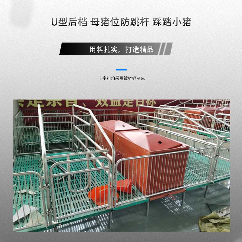 母猪产床牧洛丰2.5厚度热镀锌母猪产床双体母猪分娩产保一体床图3