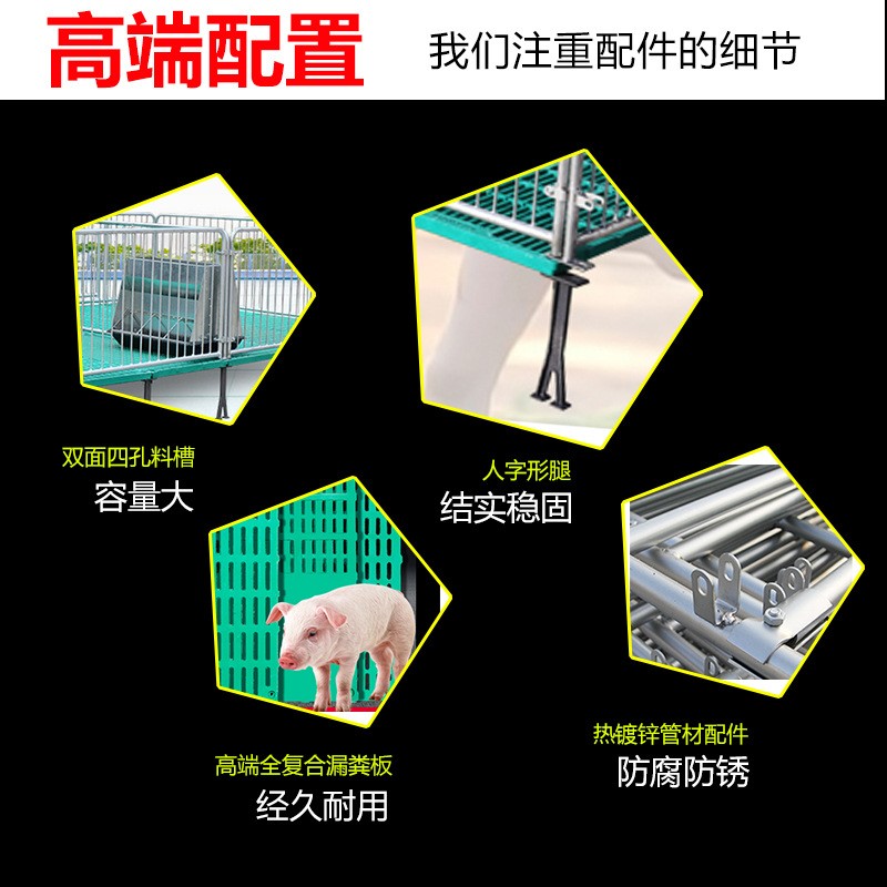 全复合猪用保育热镀锌仔猪保育栏养殖设备牧洛丰图3