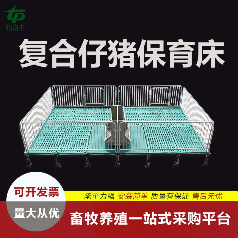 全复合猪用保育热镀锌仔猪保育栏养殖设备牧洛丰