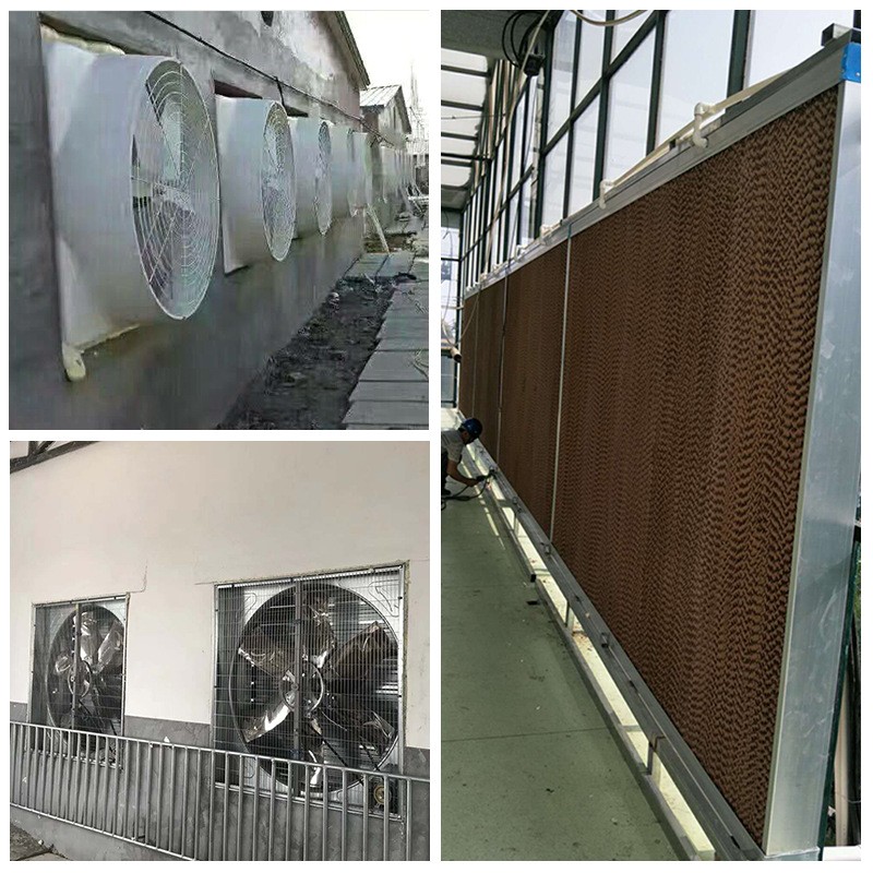养殖场负压风机排风扇大功率玻璃钢通风换气扇降温湿水帘墙水帘纸图4