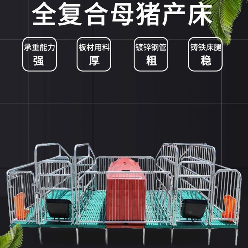厂家直供复合保育床母猪产床不锈钢复合漏粪板仔猪一体两用保育床图2