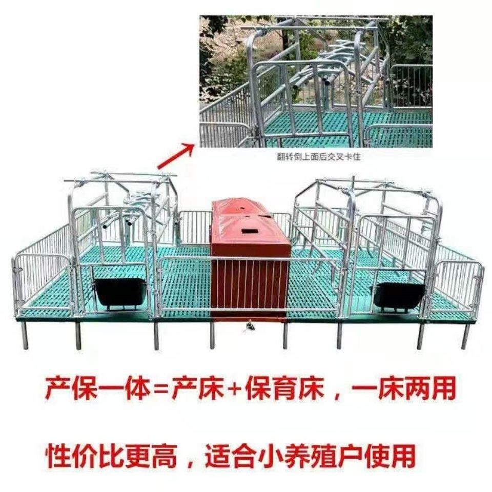 厂家直供复合保育床母猪产床不锈钢复合漏粪板仔猪一体两用保育床图5